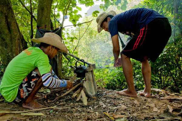 Khlong Phanom national park - Thailand forest tour. Thailand jungle