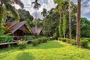 Khao Sok Riverside Beach