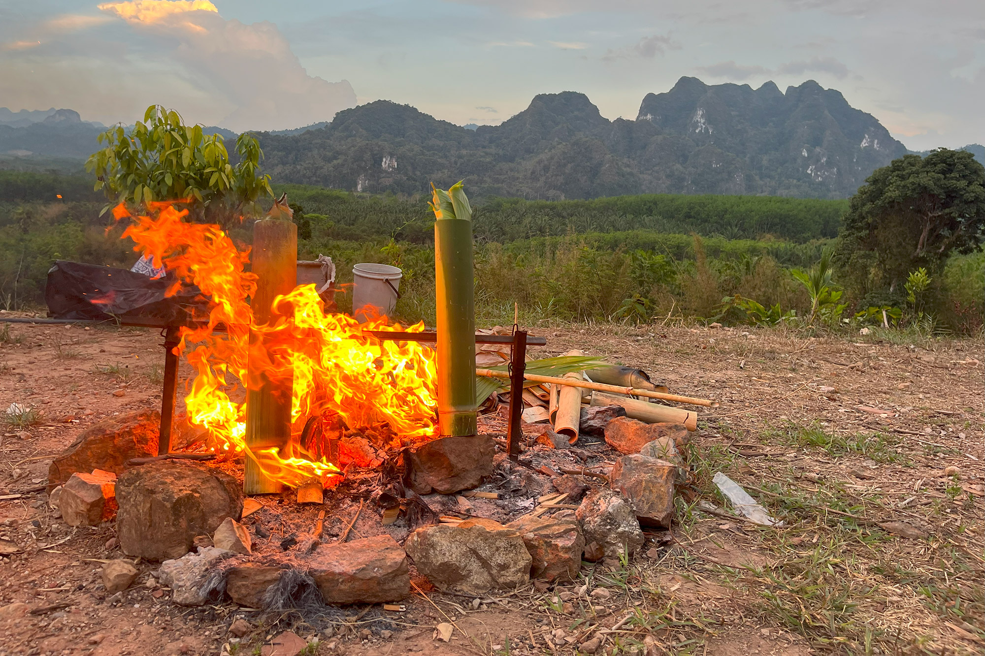 Jungle Cooking at Khao Sok Riverside Cottages