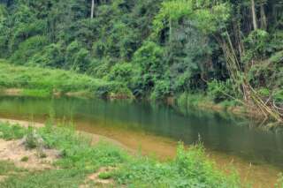 Khao Sok nature trail at Riverside Cottages