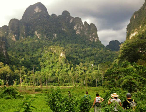 Khao Sok Travel Guide – How many days to stay in Khao Sok?