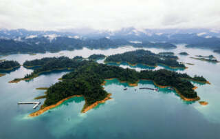 Khao Sok national park - Endangered species