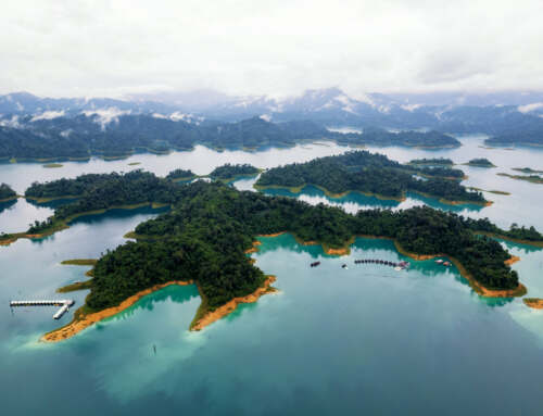 Rare and Endangered species of the Khao Sok national park