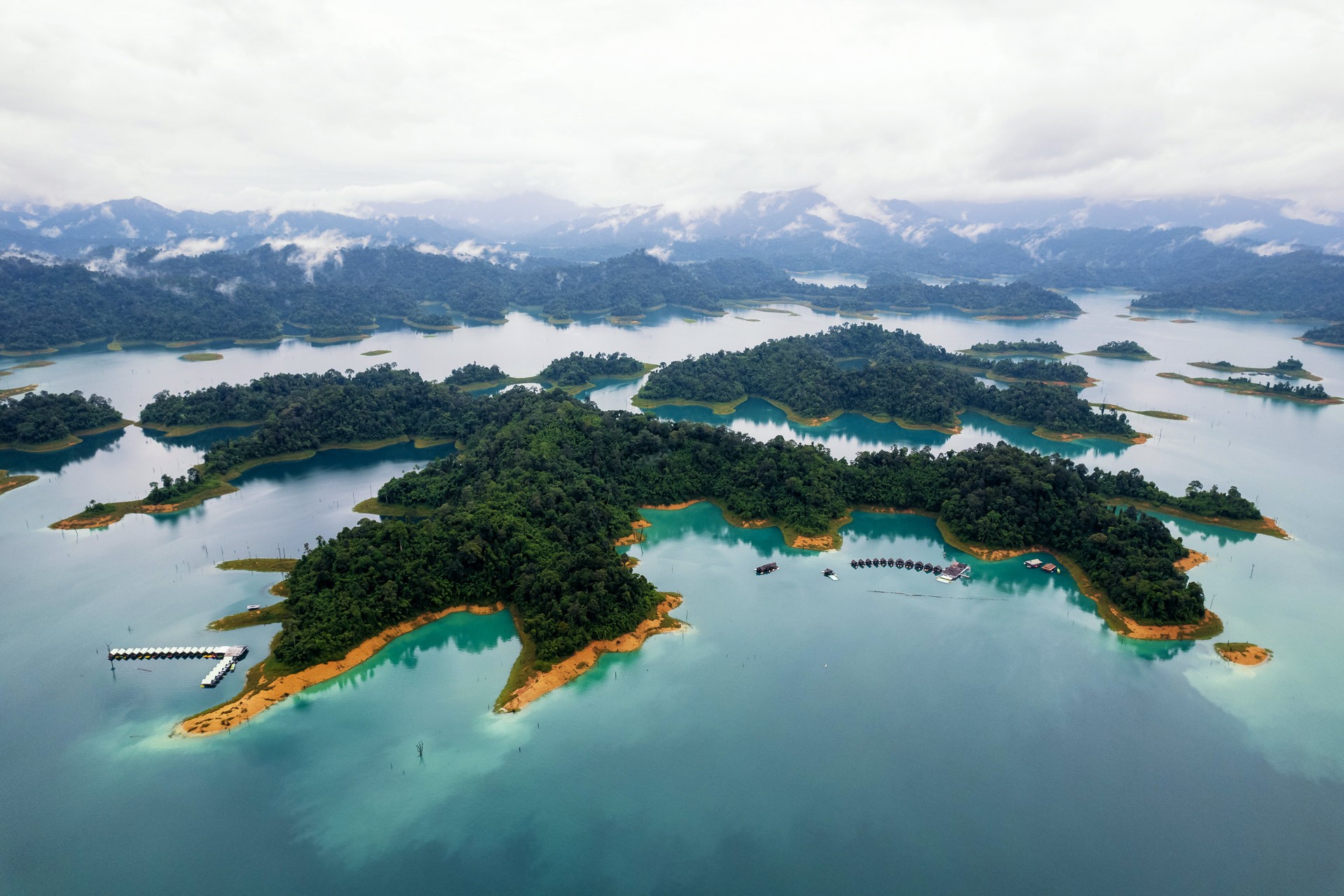 Khao Sok national park - Endangered species